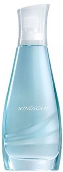 Avon Windscape EDT 50 ml Kadın Parfümü kullananlar yorumlar